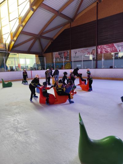 Sortie Patinoire Surprise